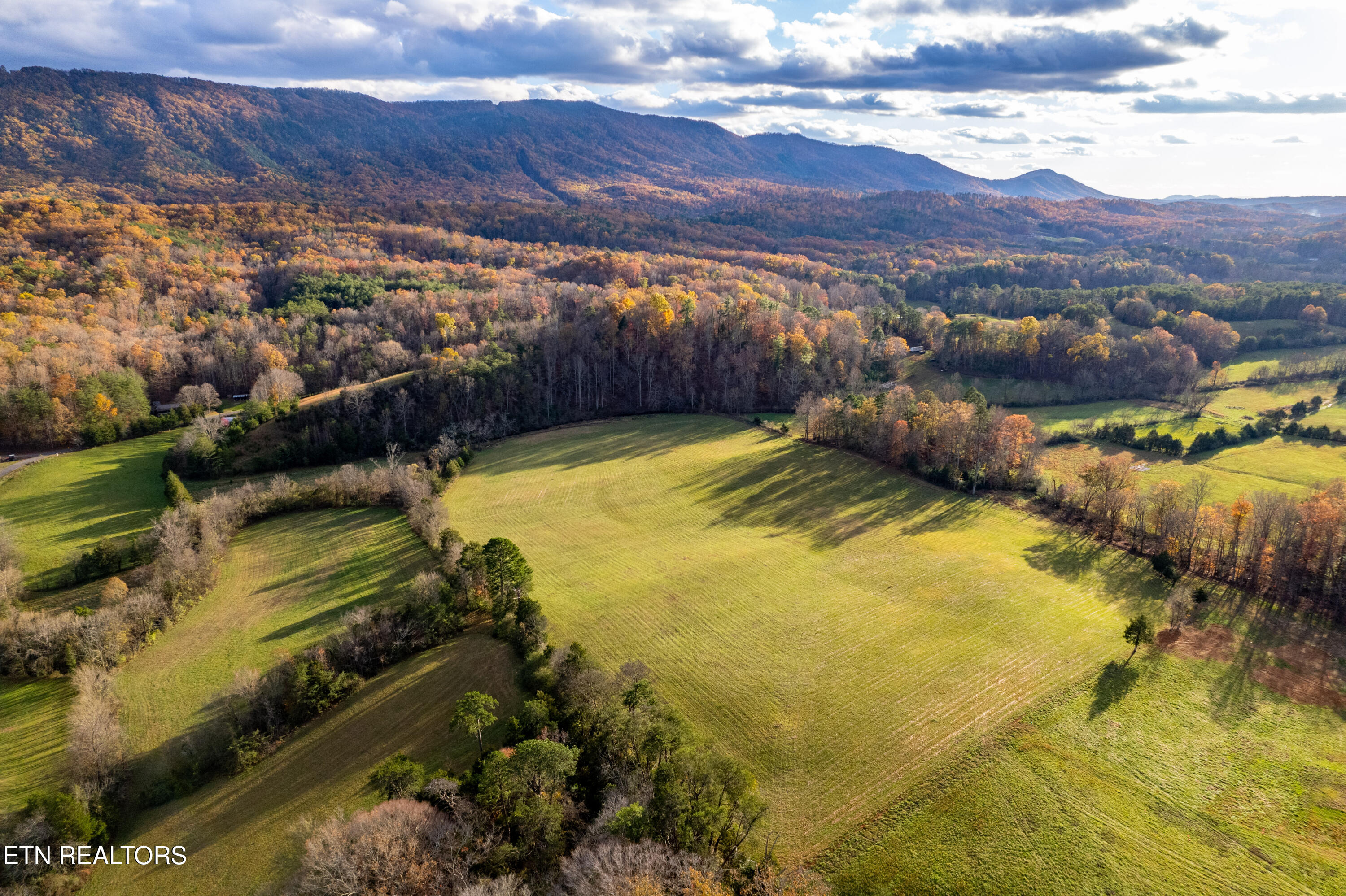 1029 Oscar Best Road Maryville, TN 37803 - Photo 3 of 15 OscarBestlots-12