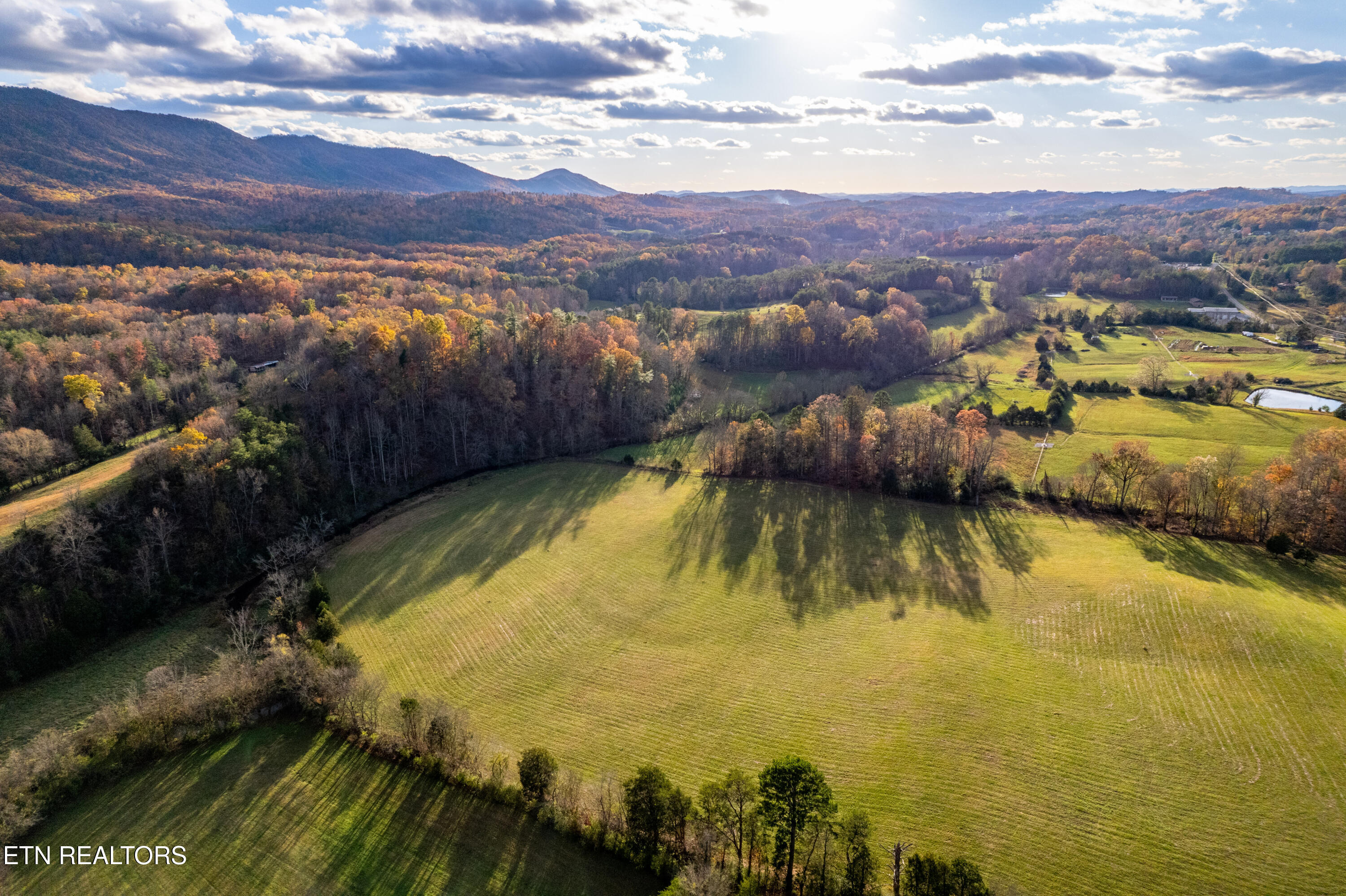 1029 Oscar Best Road Maryville, TN 37803 - Photo 4 of 15 OscarBestlots-13