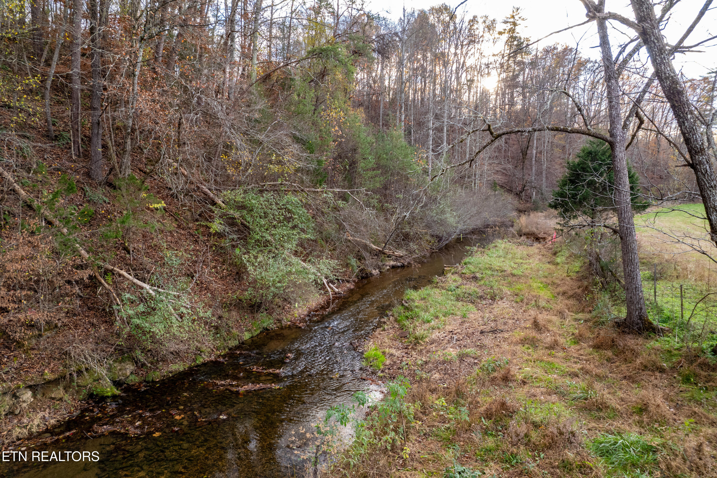 1029 Oscar Best Road Maryville, TN 37803 - Photo 7 of 15 OscarBestlots-28