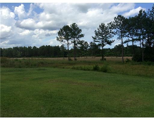 2015 Big Burn Road Vancleave, MS 39565 - Photo 9 of 9 Additional Photo