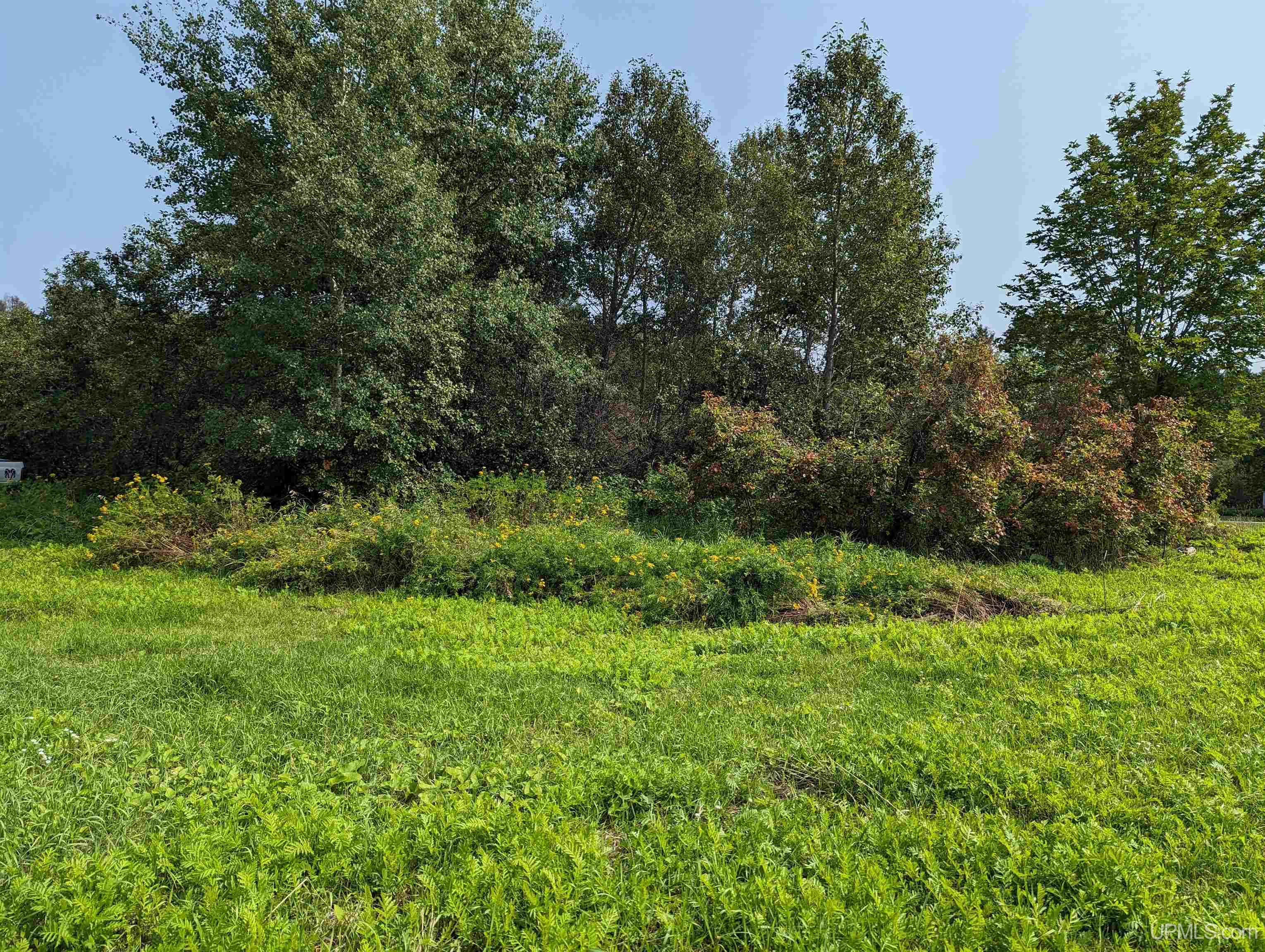 Tbd Tbd Co Road Ishpeming, MI 49849 - Photo 1 of 10