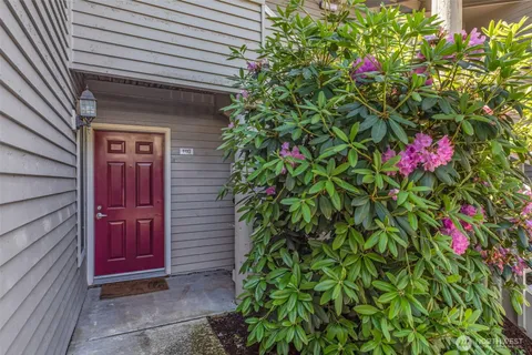 a flower plants in front of a house