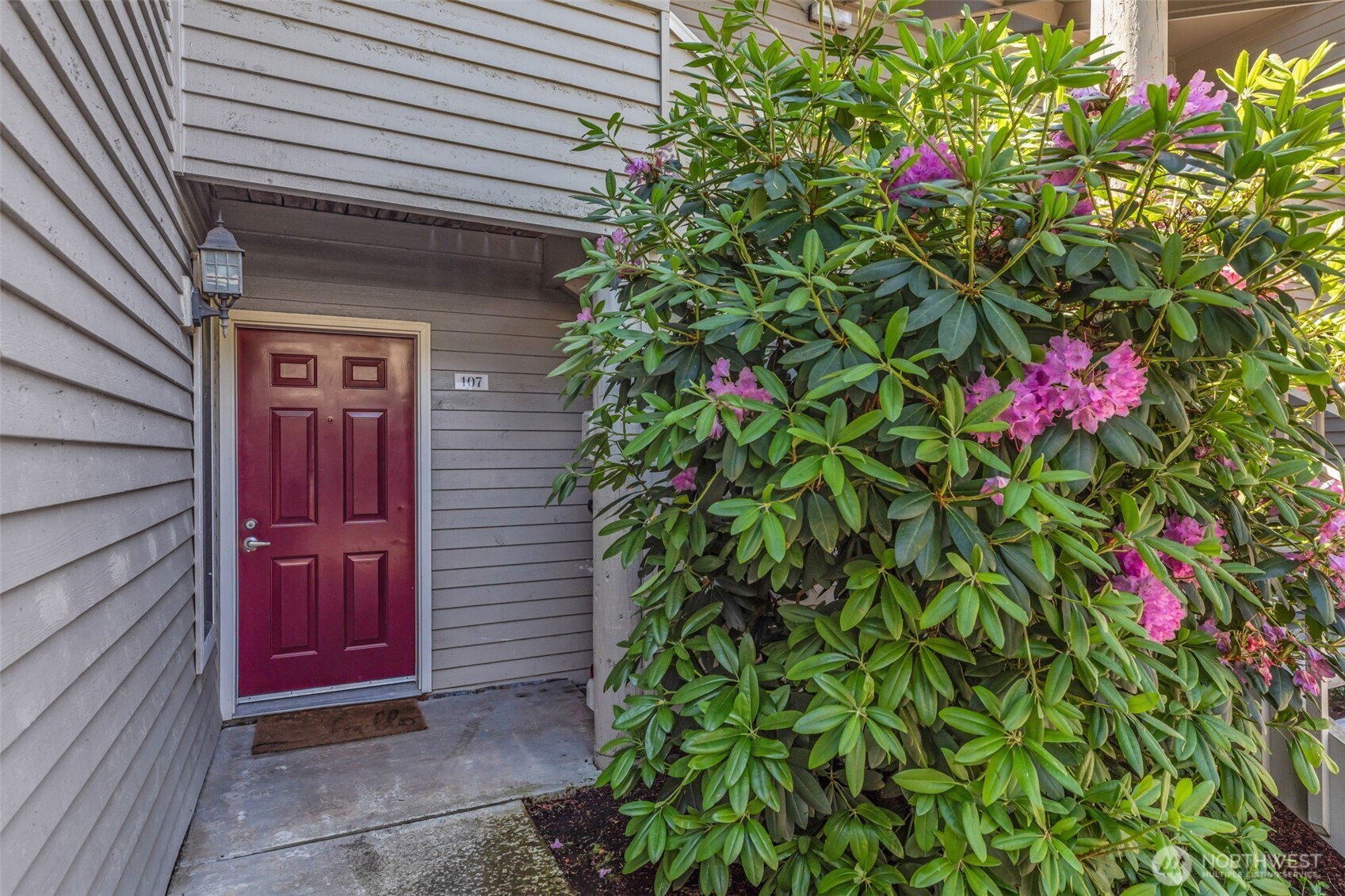 a flower plants in front of a house