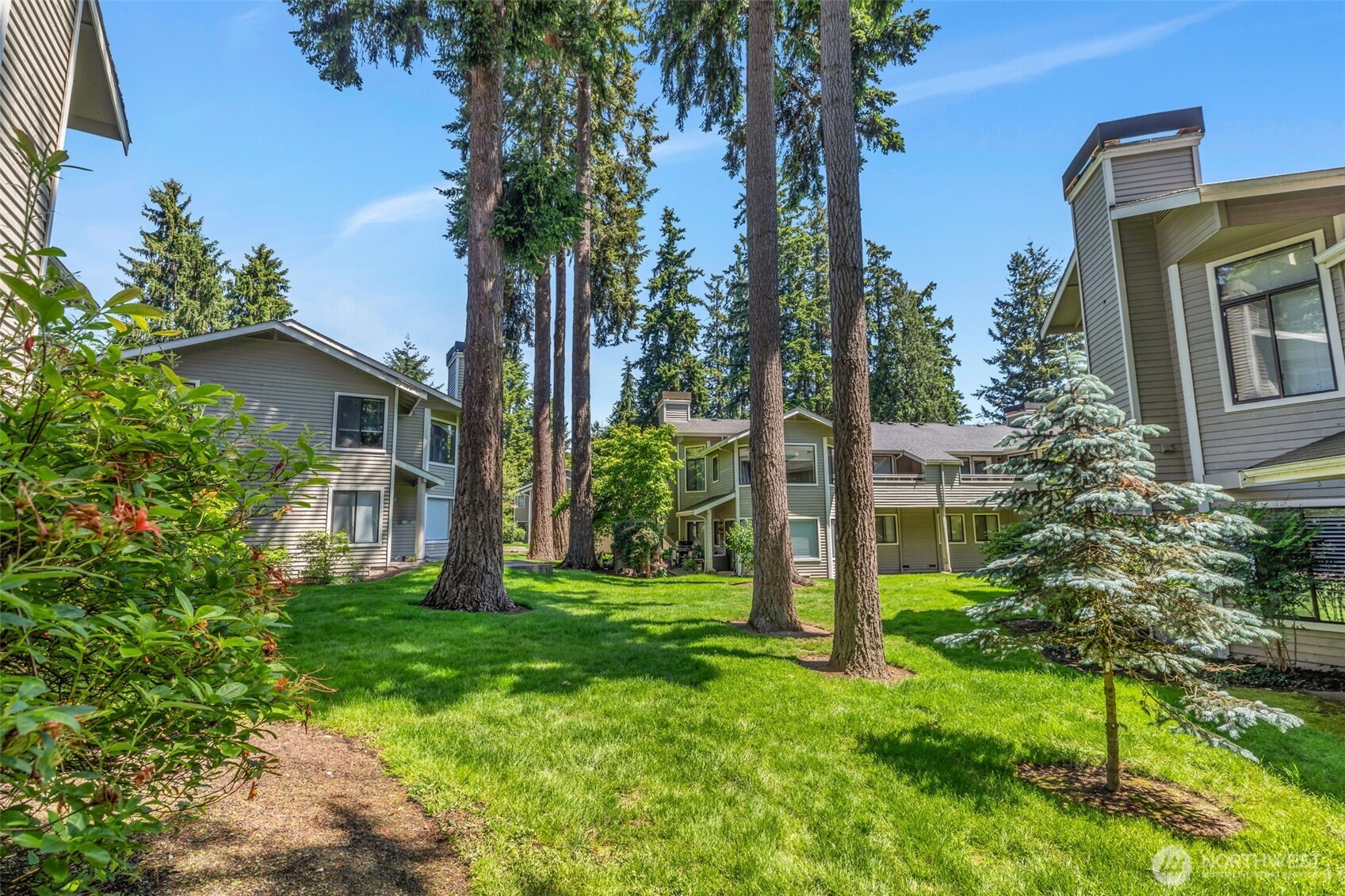 9009 Avondale Road Northeast, Unit D107 Redmond, WA 98052 - Photo 26 of 34 a view of a house with backyard and a tree