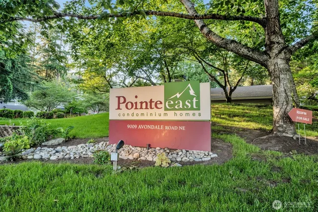 a view of a tree with a yard