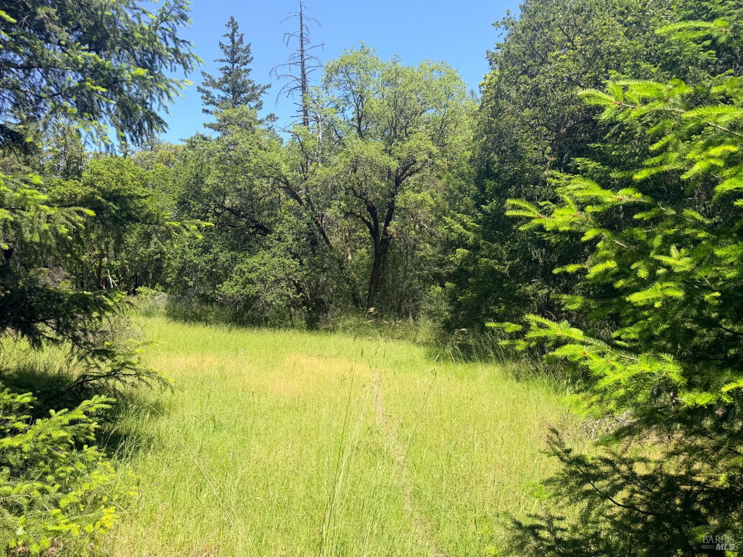 0 Registered Guest Road Laytonville, CA 95454 - Photo 10 of 18