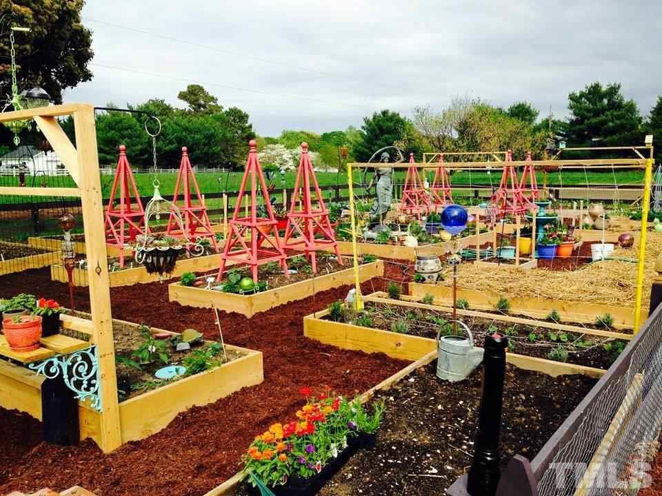 3919 Raleigh Road Clayton, NC 27520 - Photo 6 of 25 Bountiful garden