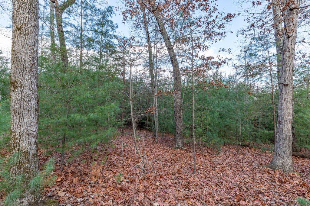 Lot 8 & W Ranch Road Blairsville, GA 30512 - Photo 4 of 4 Gallery Image 4