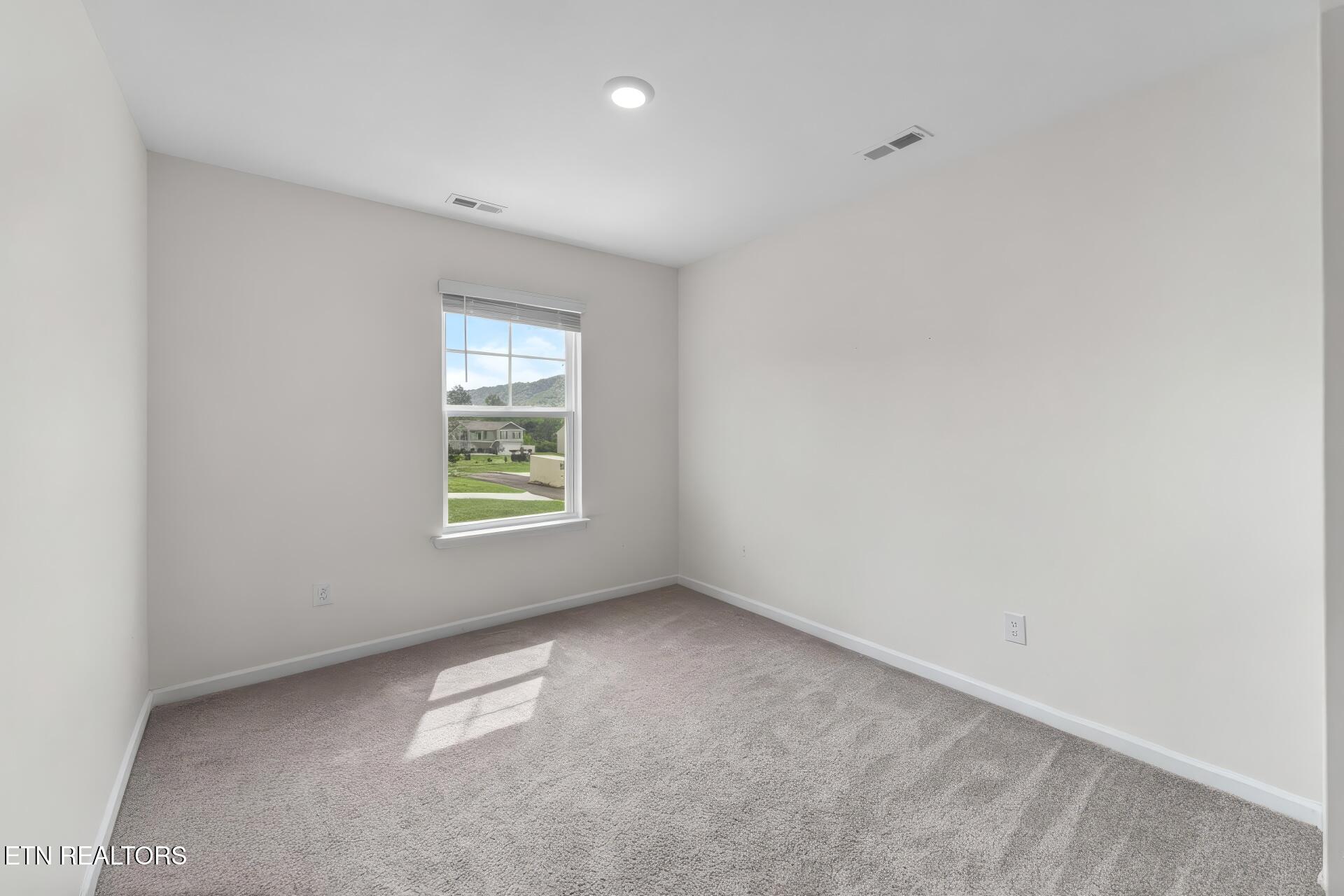 116 Riley Court Maynardville, TN 37807 - Photo 22 of 35 Bedroom 1