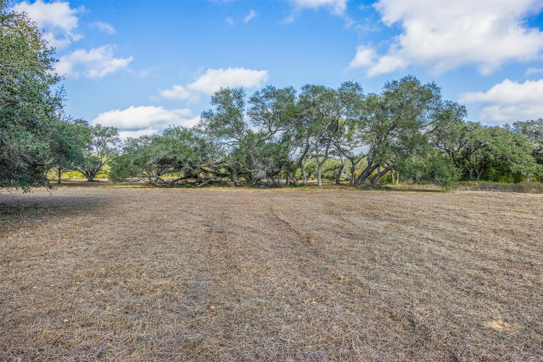 0 Shorebird Lane Columbus, TX 78934 - Photo 2 of 19 a view of a yard with a tree