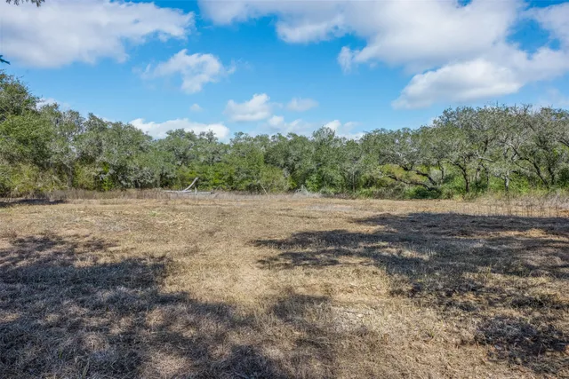 a view of dirt field with trees