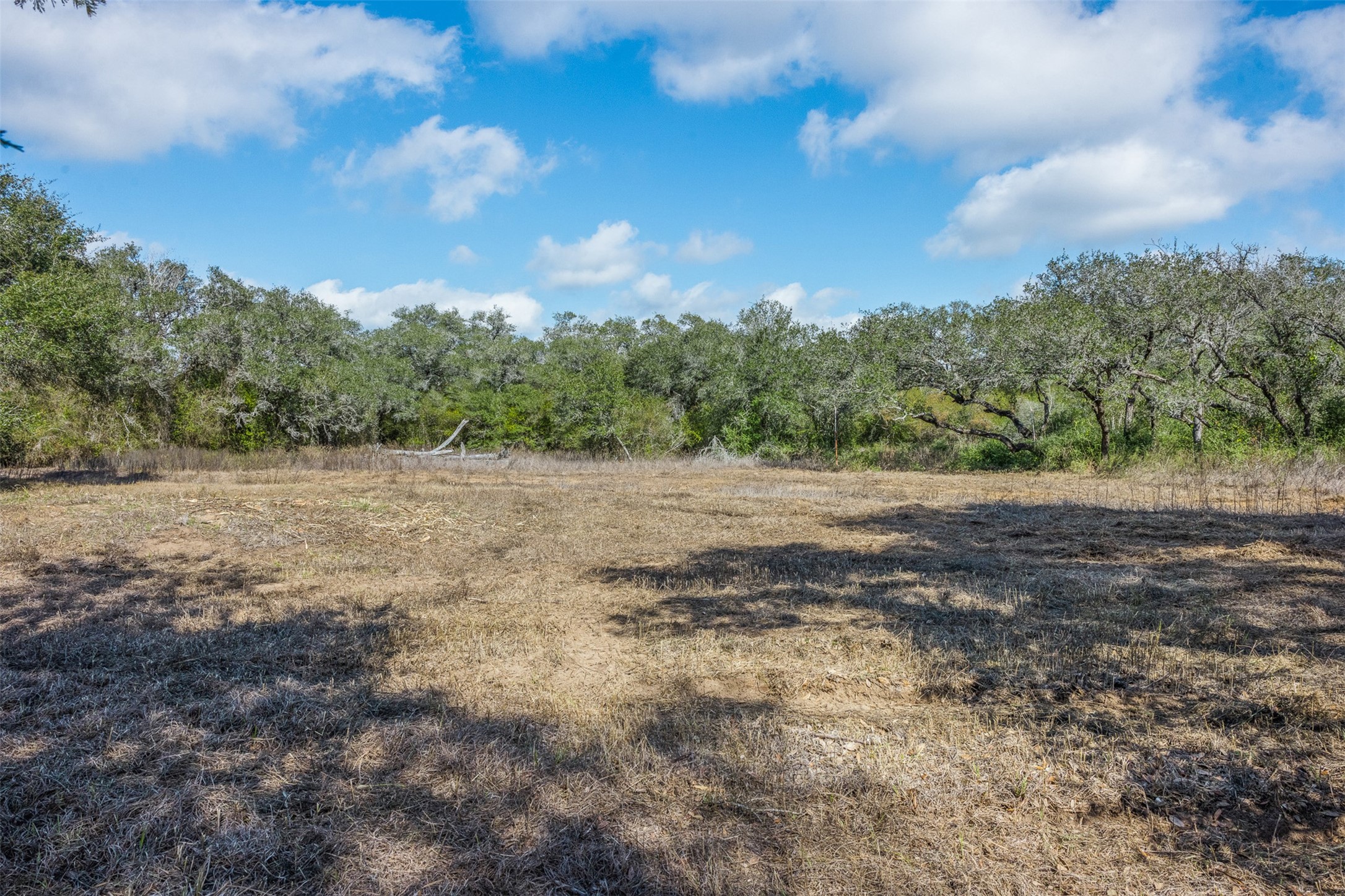0 Shorebird Lane Columbus, TX 78934 - Photo 4 of 19 a view of dirt field with trees