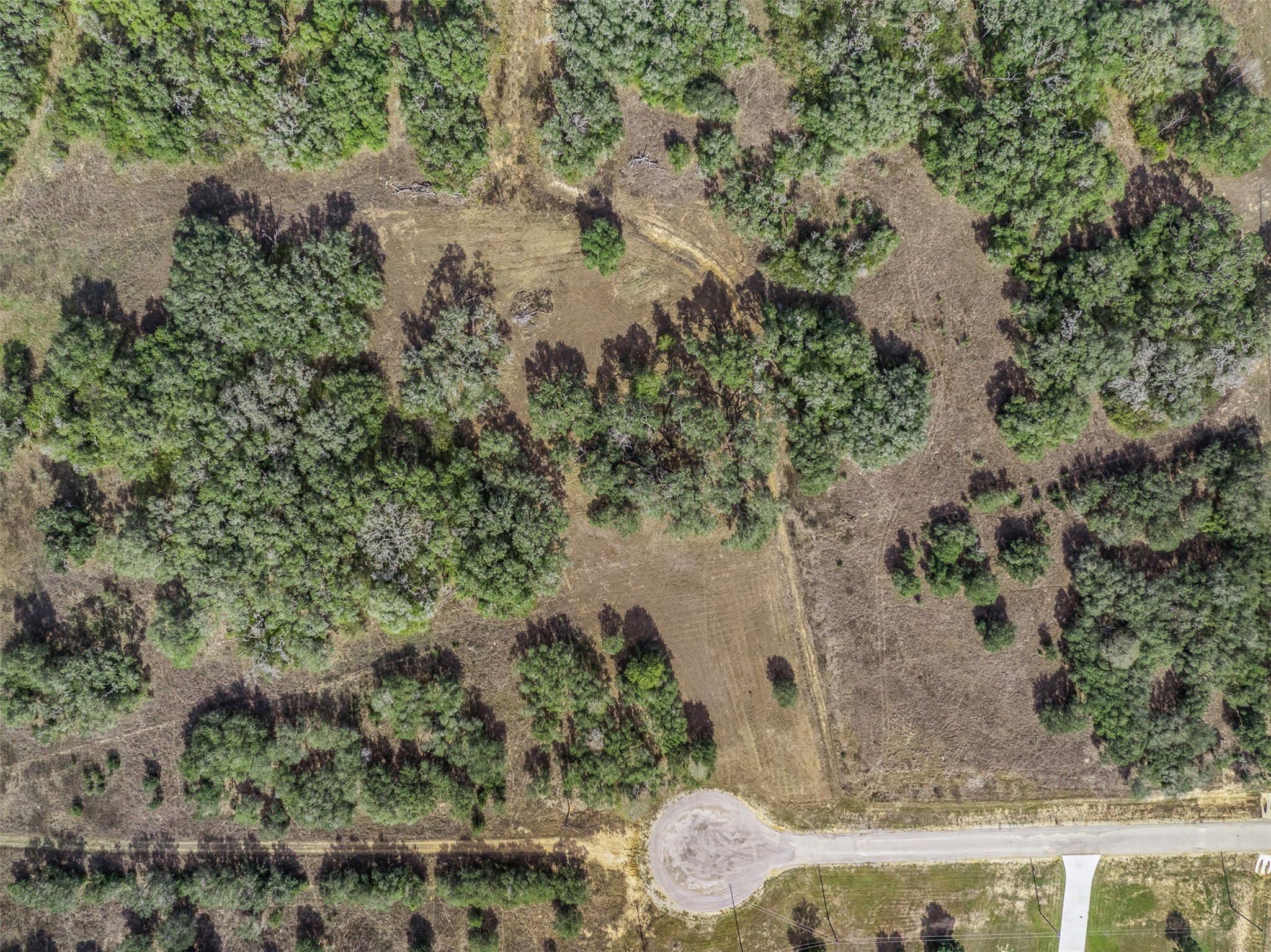 0 Shorebird Lane Columbus, TX 78934 - Photo 7 of 19 a view of a tree in a yard