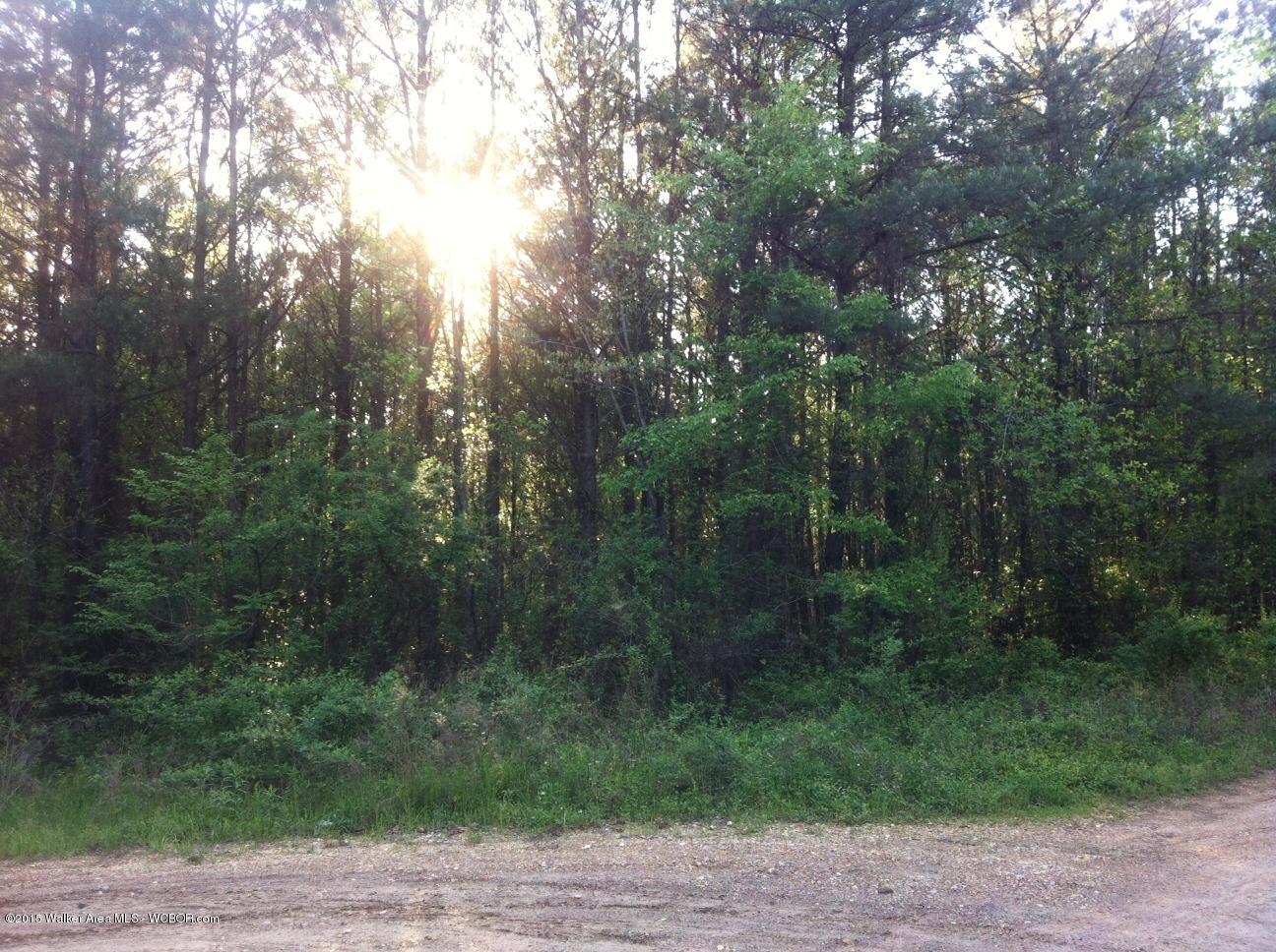 630 Co Road Addison, AL 35540 - Photo 3 of 8 Gallery Image 3