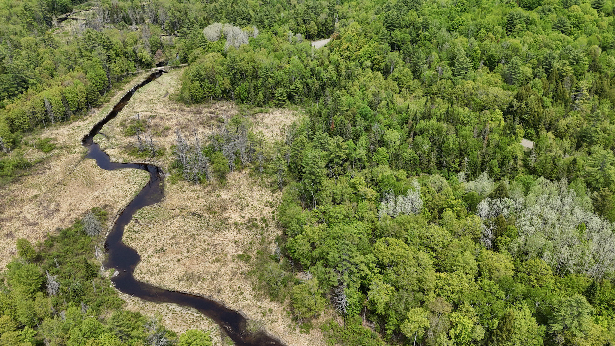 Lot 5 Stream Road Vienna, ME 04360 - Photo 13 of 17 North View