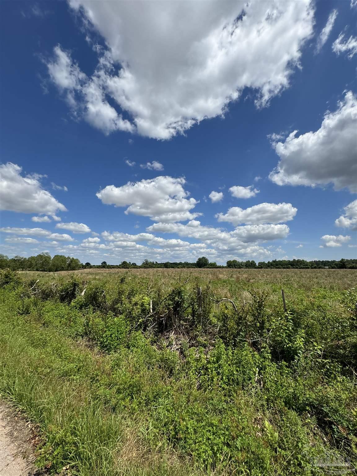 Brownsdale Loop Road Jay, FL 32565 - Photo 3 of 4