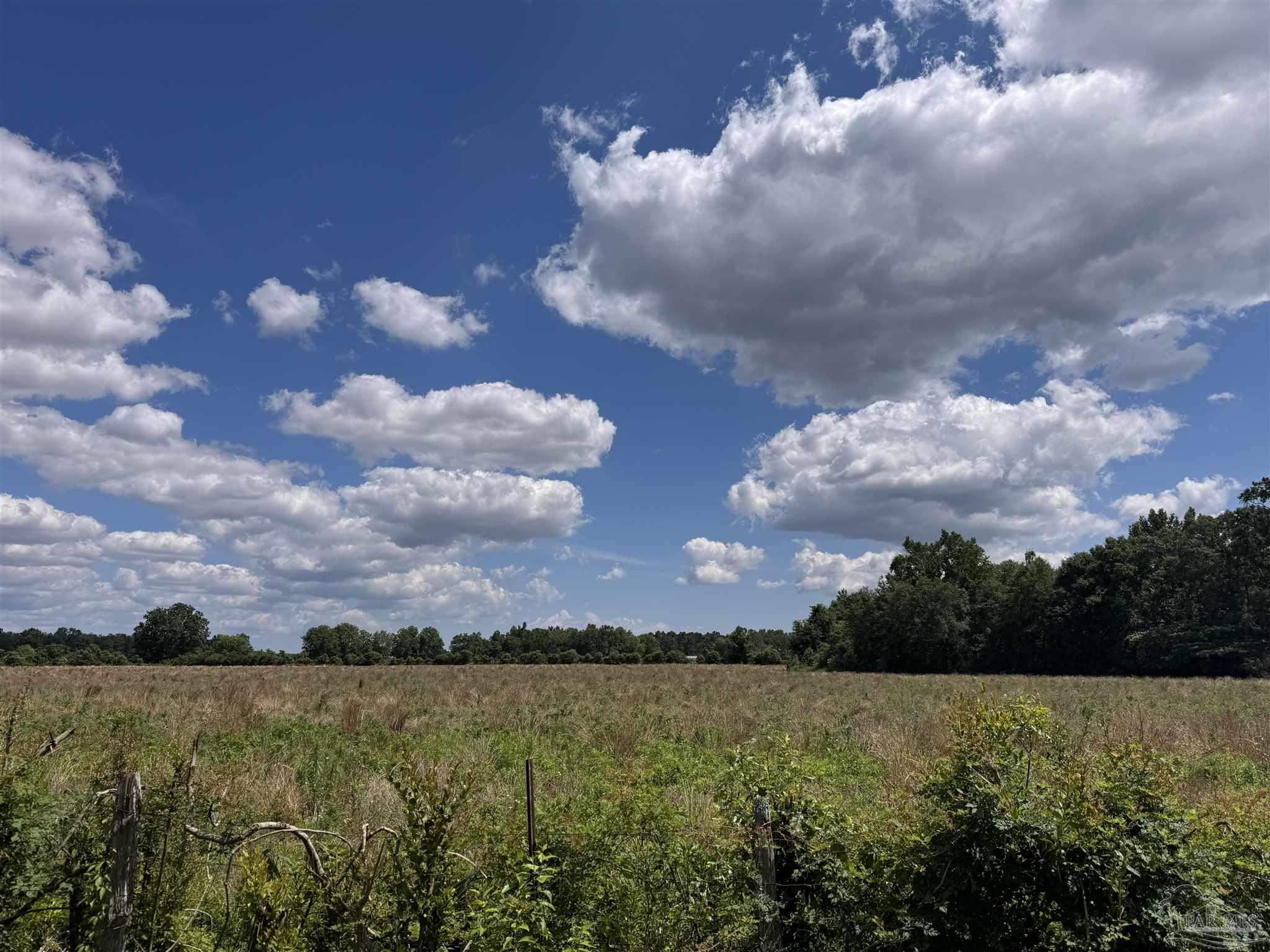 Brownsdale Loop Road Jay, FL 32565 - Photo 4 of 4