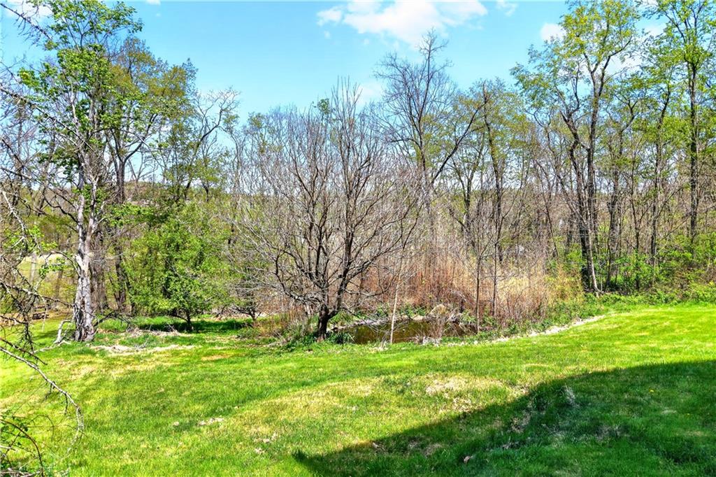 116 Dutchtown Road Herminie, PA 15637 - Photo 3 of 49 a view of backyard with green space