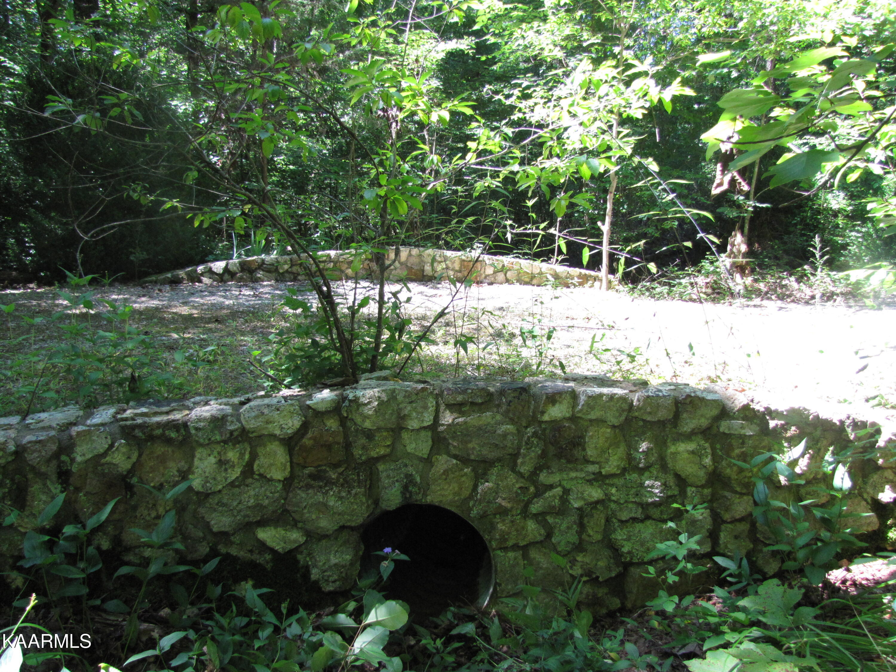 Adkins Road Philadelphia, TN 37846 - Photo 8 of 27 IMG_0064 - Copy