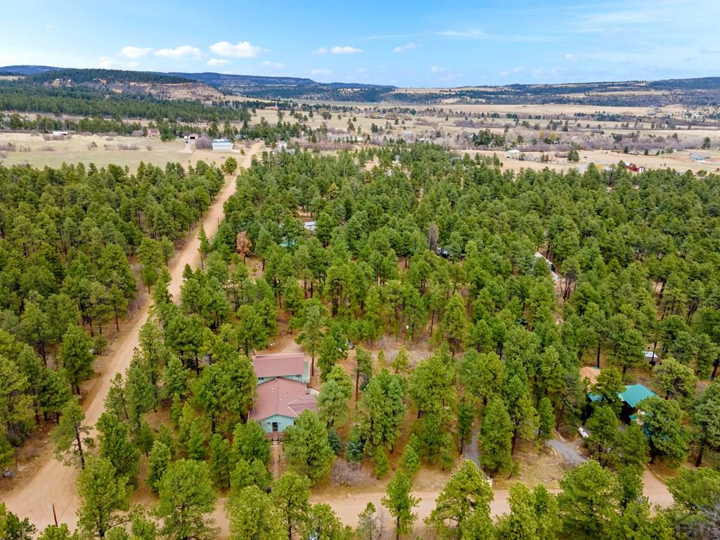8145 Birch Drive Rye, CO 81069 - Photo 41 of 44