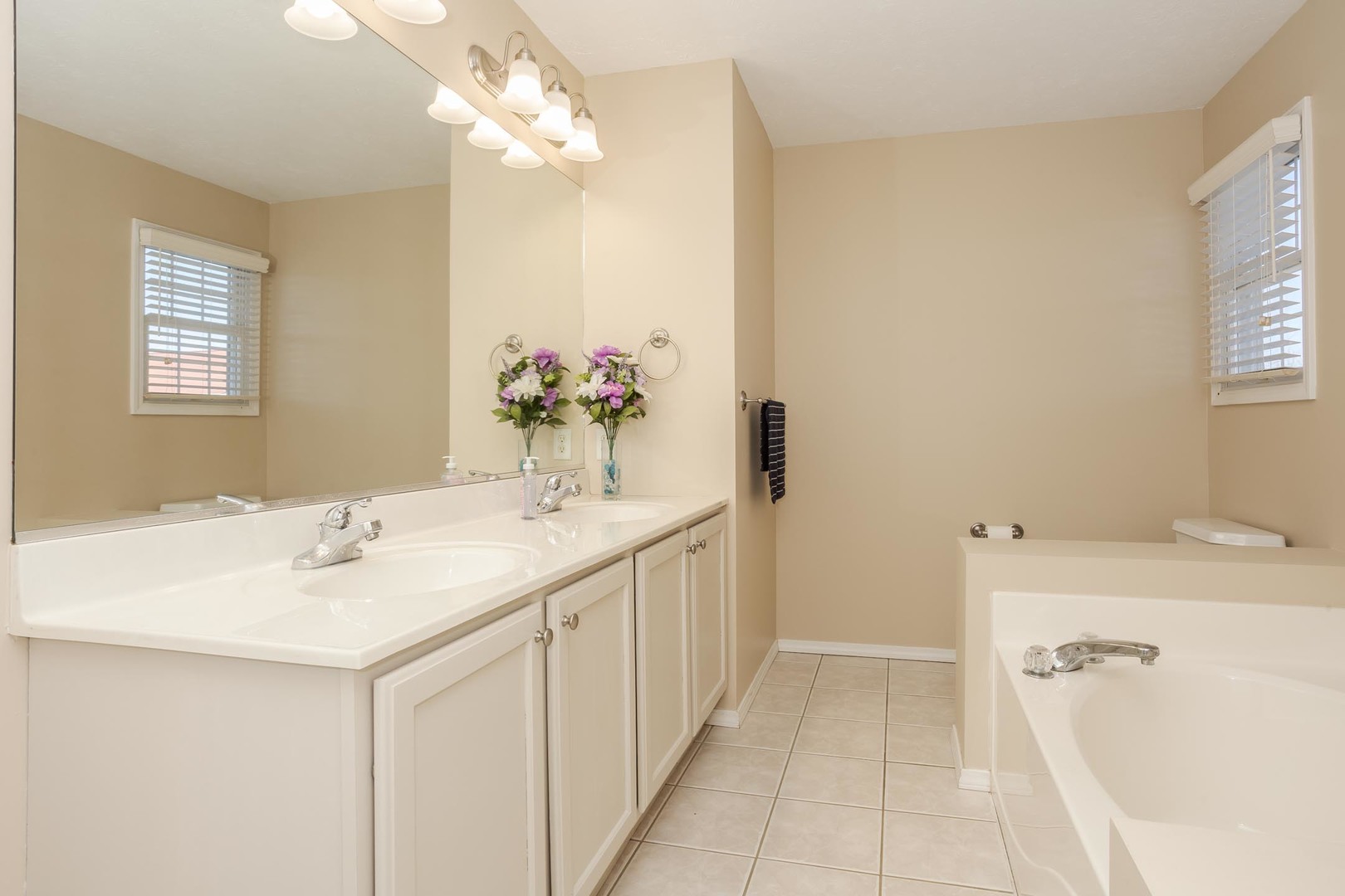 2884 Three Eagles Street Normal, IL 61761 - Photo 28 of 48 a bathroom with a sink a vanity and a mirror