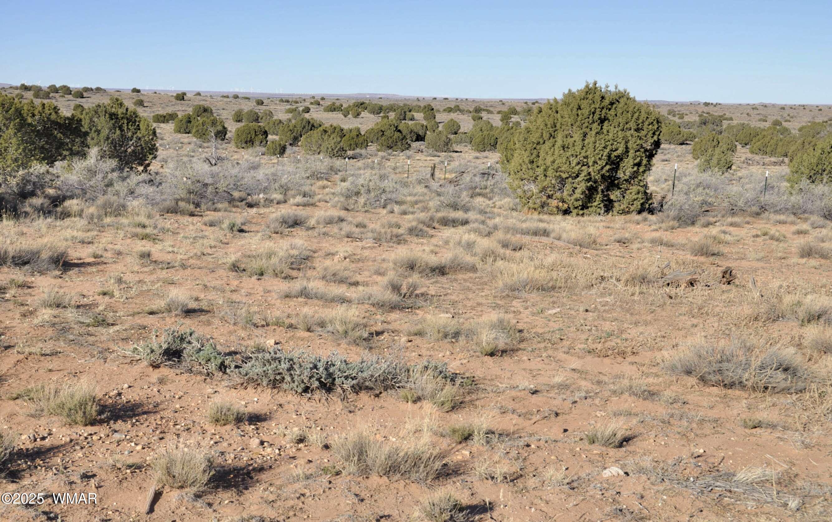 5196 White Antelope Road Snowflake, AZ 85937 - Photo 51 of 58 a view of mountain view with beach