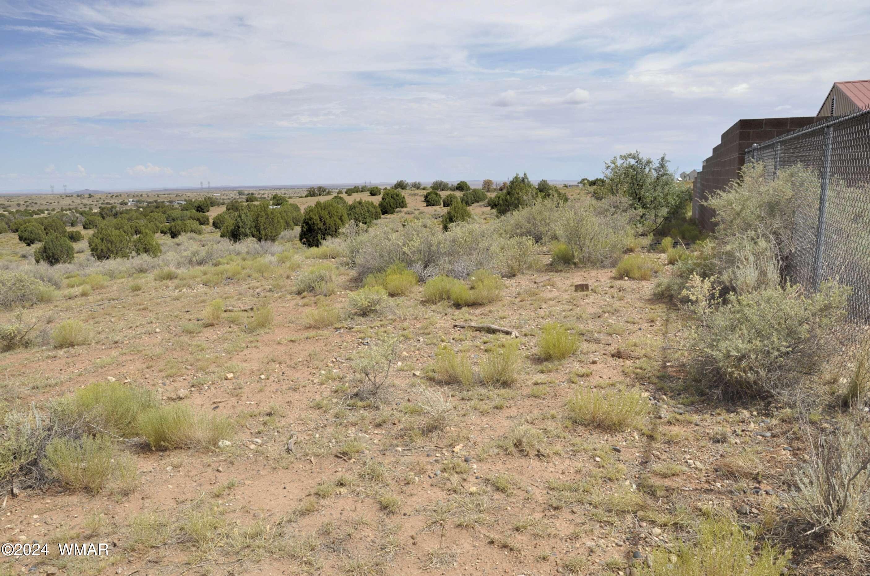 5196 White Antelope Road Snowflake, AZ 85937 - Photo 52 of 58 a view of a dry yard with trees