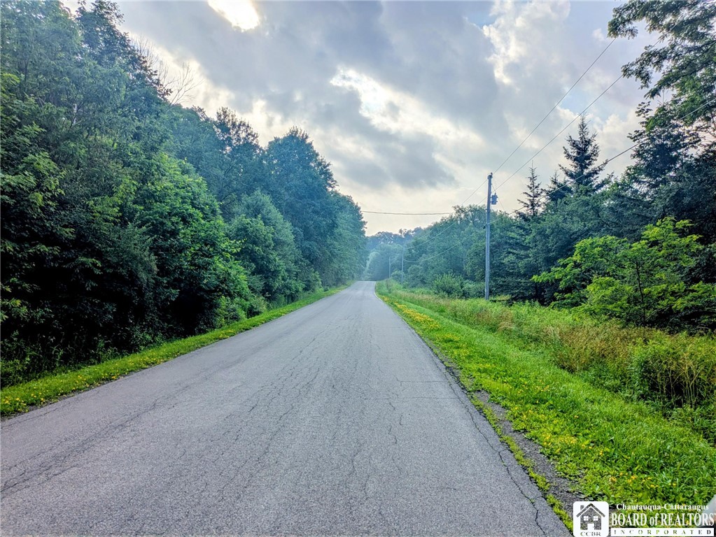 1186 28th Creek Road Ellington, NY 14747 - Photo 22 of 22