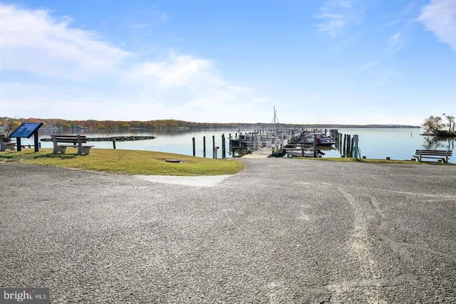a row of palm trees and the view of the road