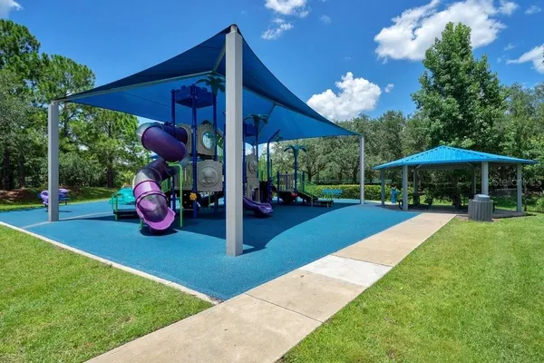 a view of a pathway both side of yard