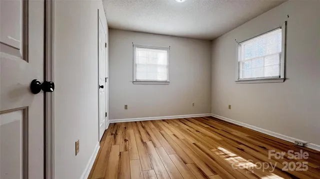 a view of a backyard with large trees