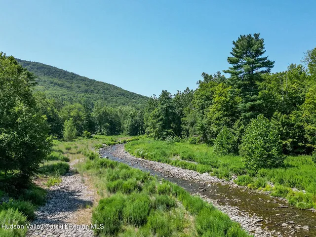 a view of a lush green forest with lots of trees