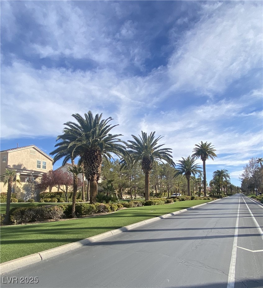 172 Tall Ruff Drive Las Vegas, NV 89148 - Photo 4 of 94 palm trees along both side of Rhodes Ranch PKWY