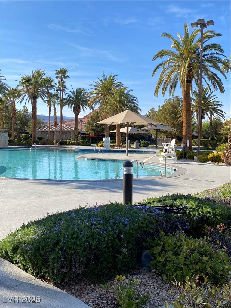 172 Tall Ruff Drive Las Vegas, NV 89148 - Photo 59 of 94 Community pool featuring a patio