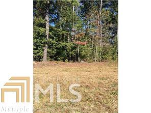 0 Bob Hunton Road Douglasville, GA 30157 - Photo 1 of 1 a view of a yard