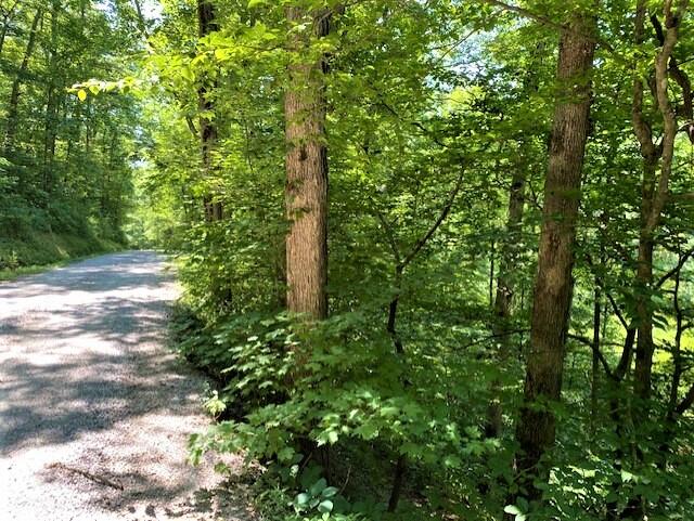 2389 Trace Branch Road Livingston, KY 40445 - Photo 16 of 23 16