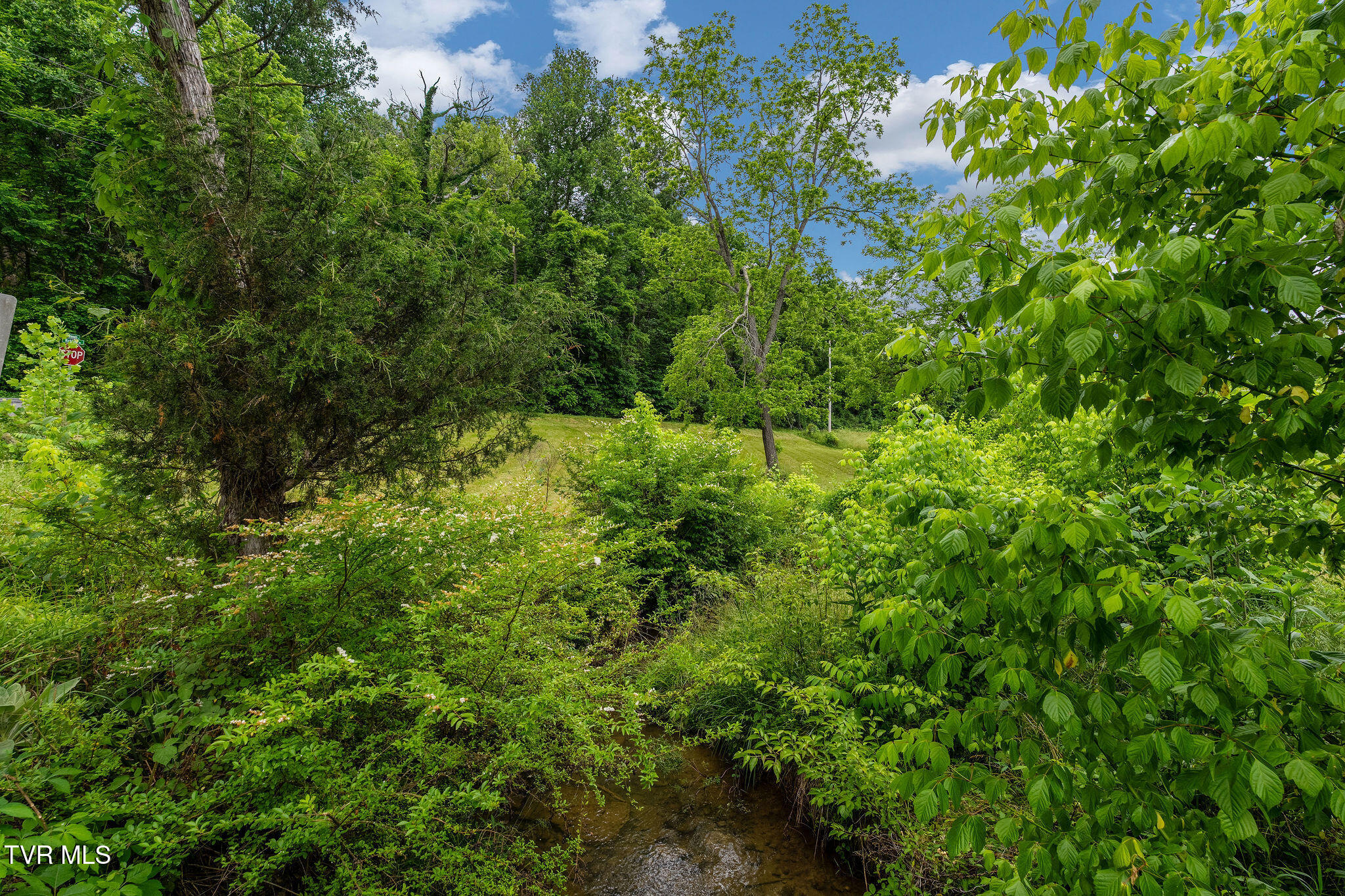 630 Briar Patch Lane Greeneville, TN 37745 - Photo 40 of 50 DSC03871