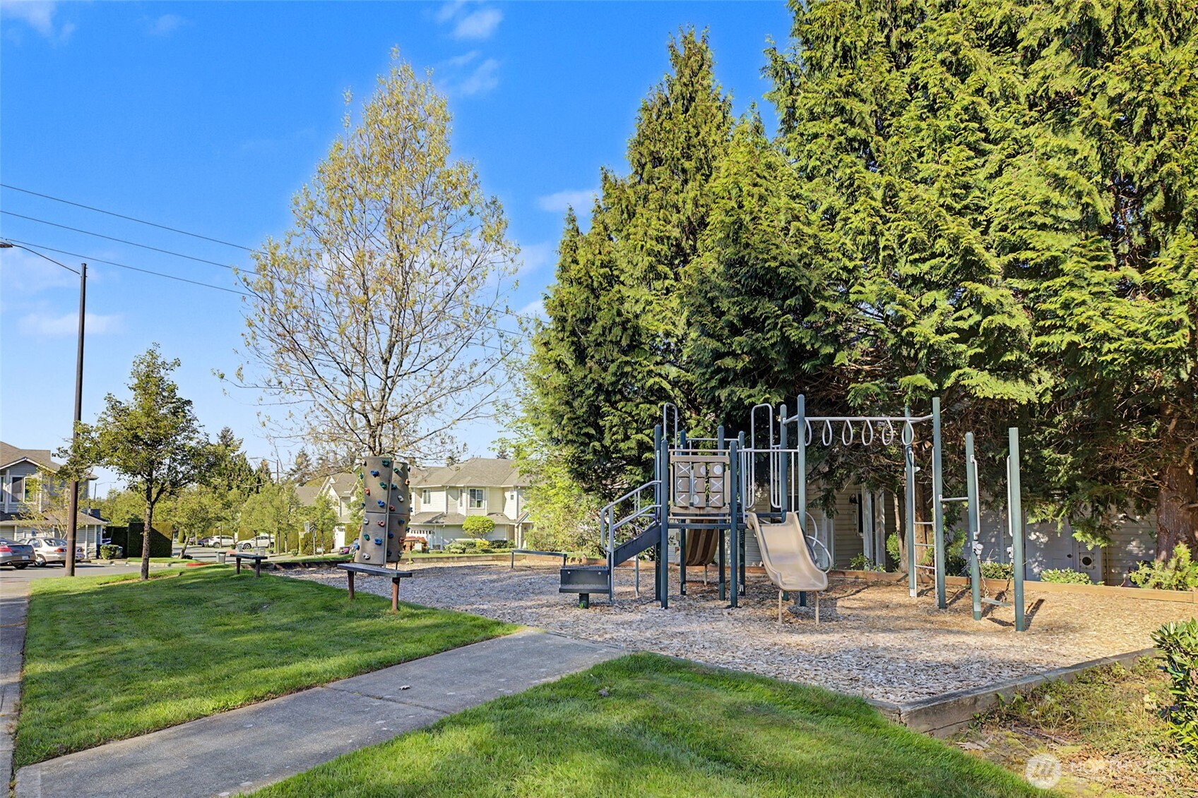 4124 214th Street Southwest, Unit C Mountlake Terrace, WA 98043 - Photo 20 of 20 a view of a park with large trees and plants