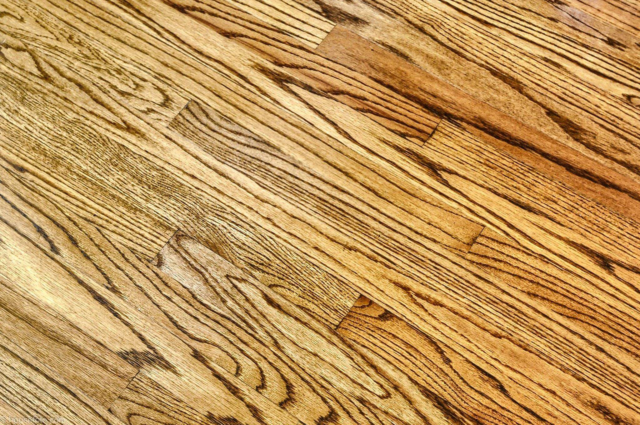 1395 Welland Drive Rochester, MI 48306 - Photo 40 of 93 50171667-6b7905d8-a754-4c2c-9b5d-6052f3a3bdab.JPG