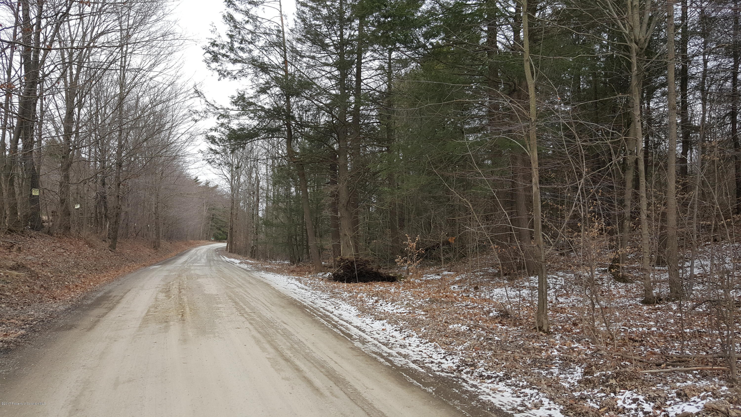Andrus Hill Road Ulster, PA 18850 - Photo 2 of 8 a view of backyard with green space