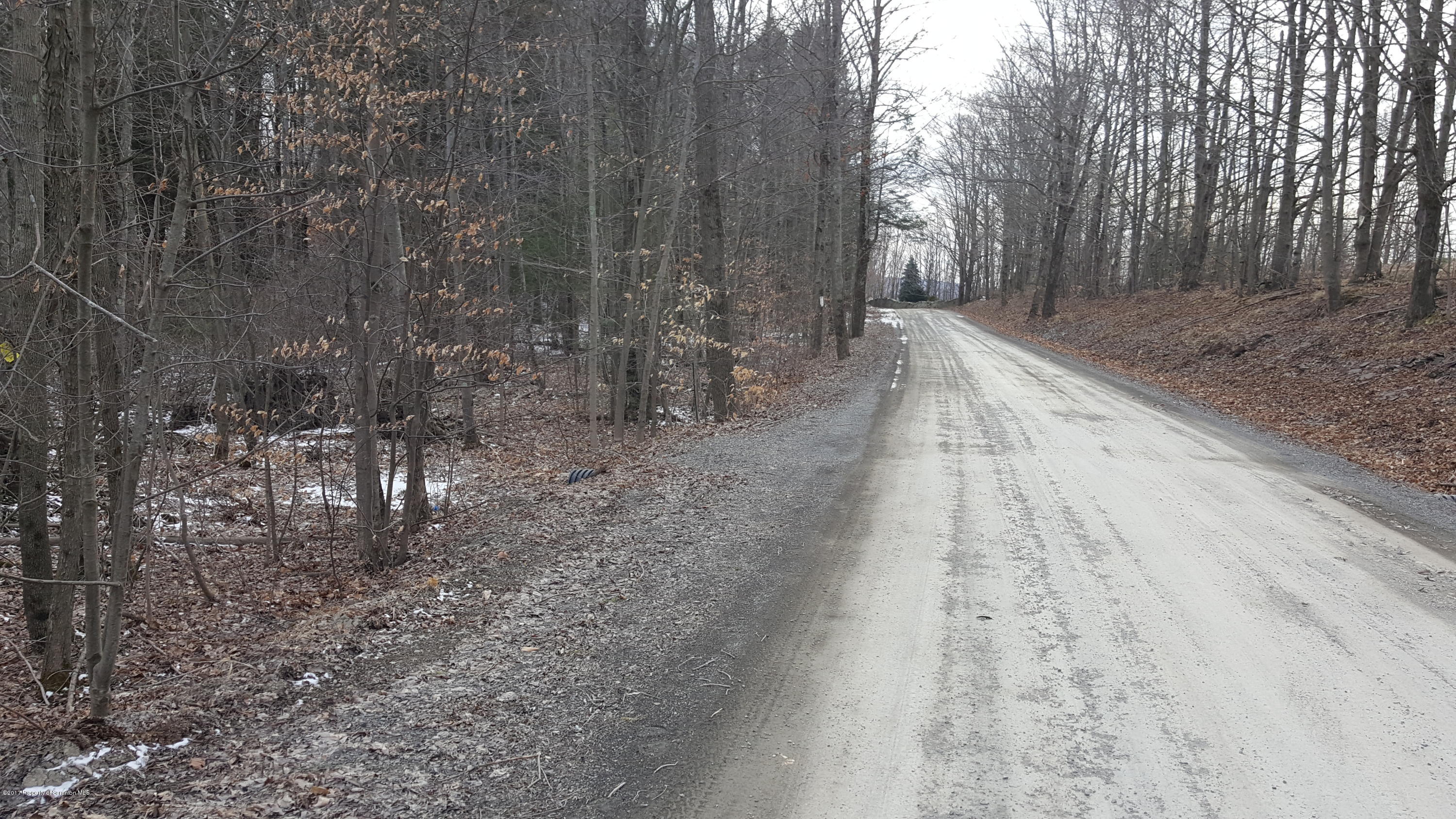 Andrus Hill Road Ulster, PA 18850 - Photo 3 of 8 a view of a yard with trees