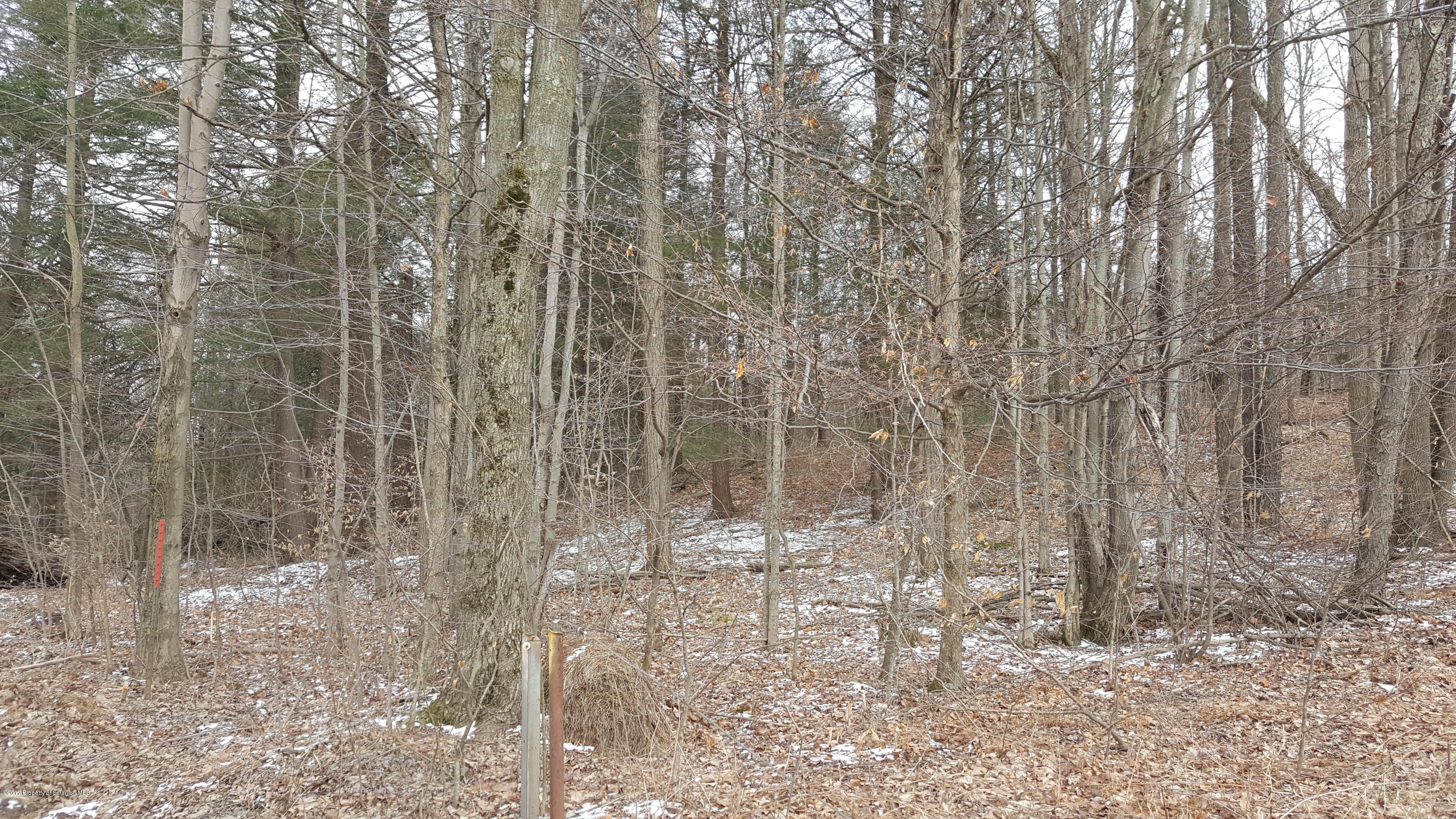 Andrus Hill Road Ulster, PA 18850 - Photo 4 of 8 a bathroom with a shower