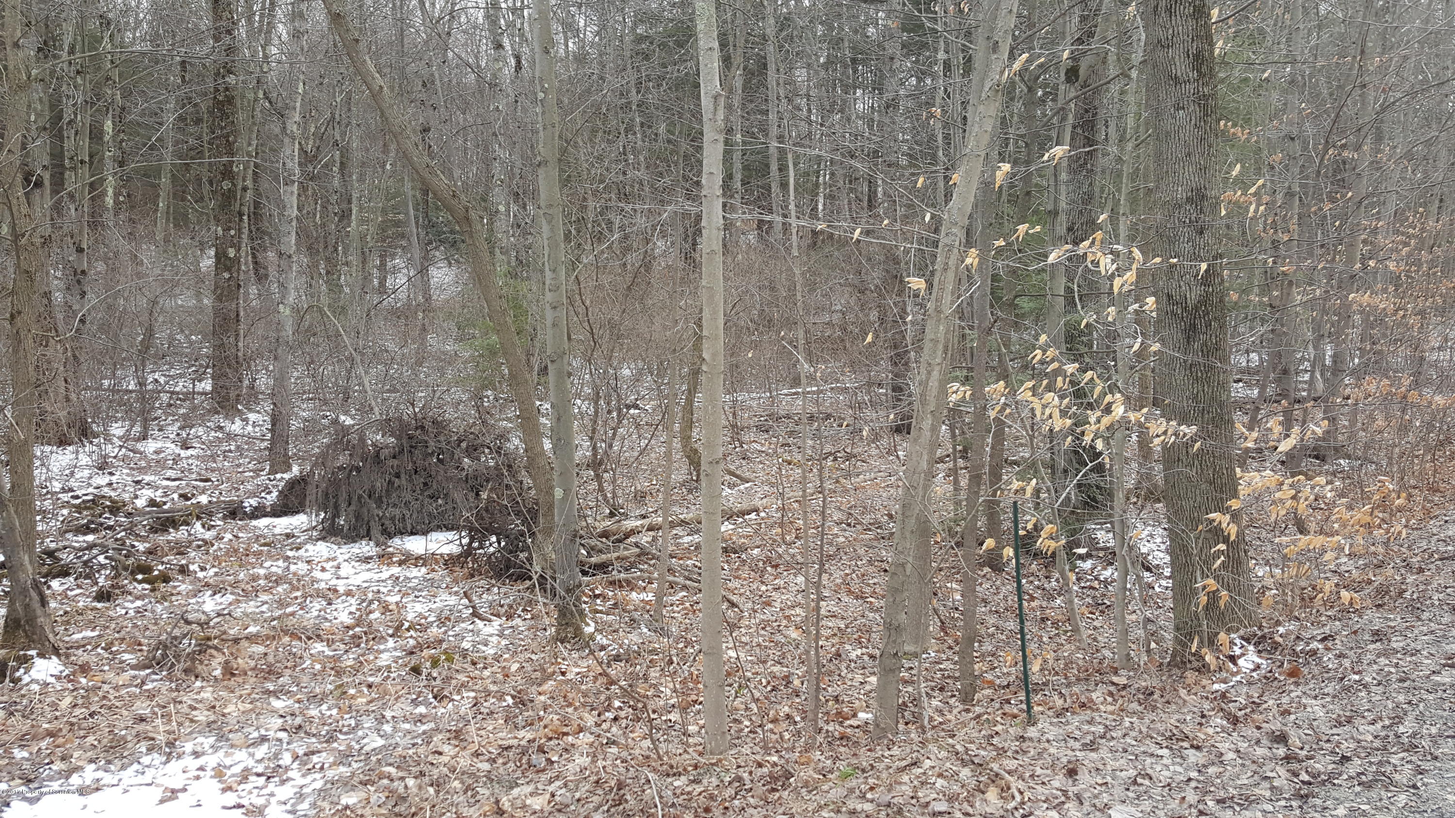 Andrus Hill Road Ulster, PA 18850 - Photo 6 of 8