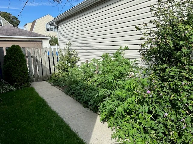 a view of a back yard