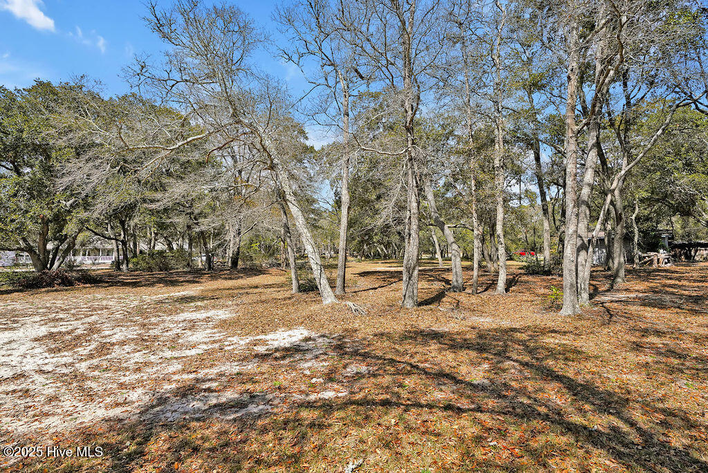 2928 John T Holden Road Southwest Supply, NC 28462 - Photo 47 of 61 2928JohnTHoldenRoad-43