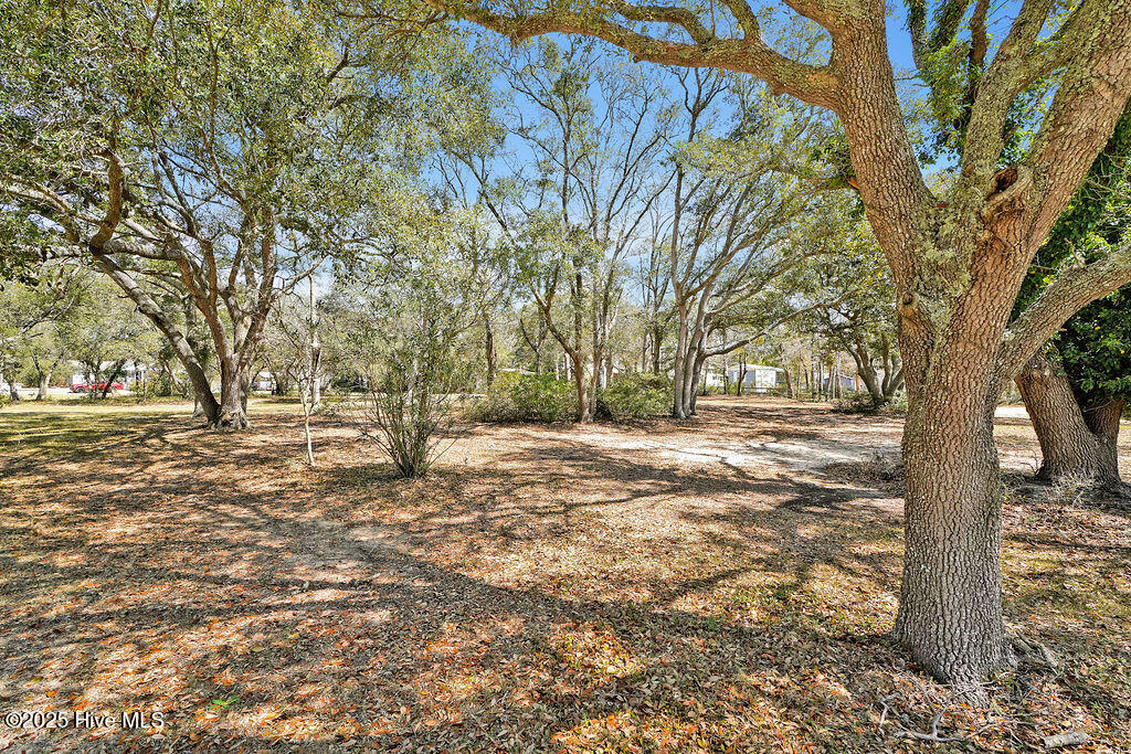 2928 John T Holden Road Southwest Supply, NC 28462 - Photo 49 of 61 2928JohnTHoldenRoad-45