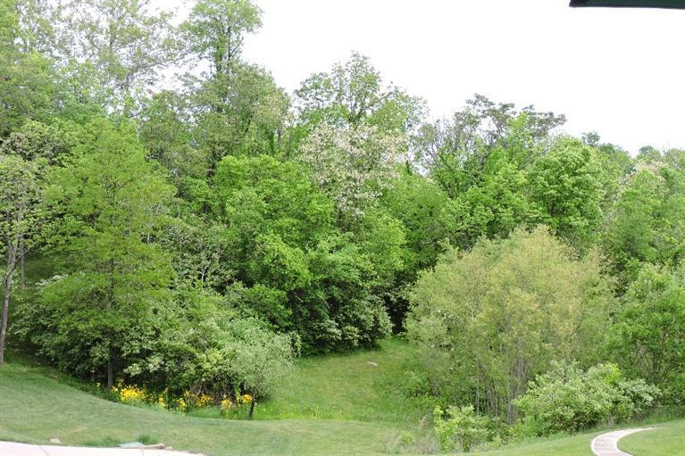 1168 Hunters Ridge Hebron, KY 41048 - Photo 23 of 30