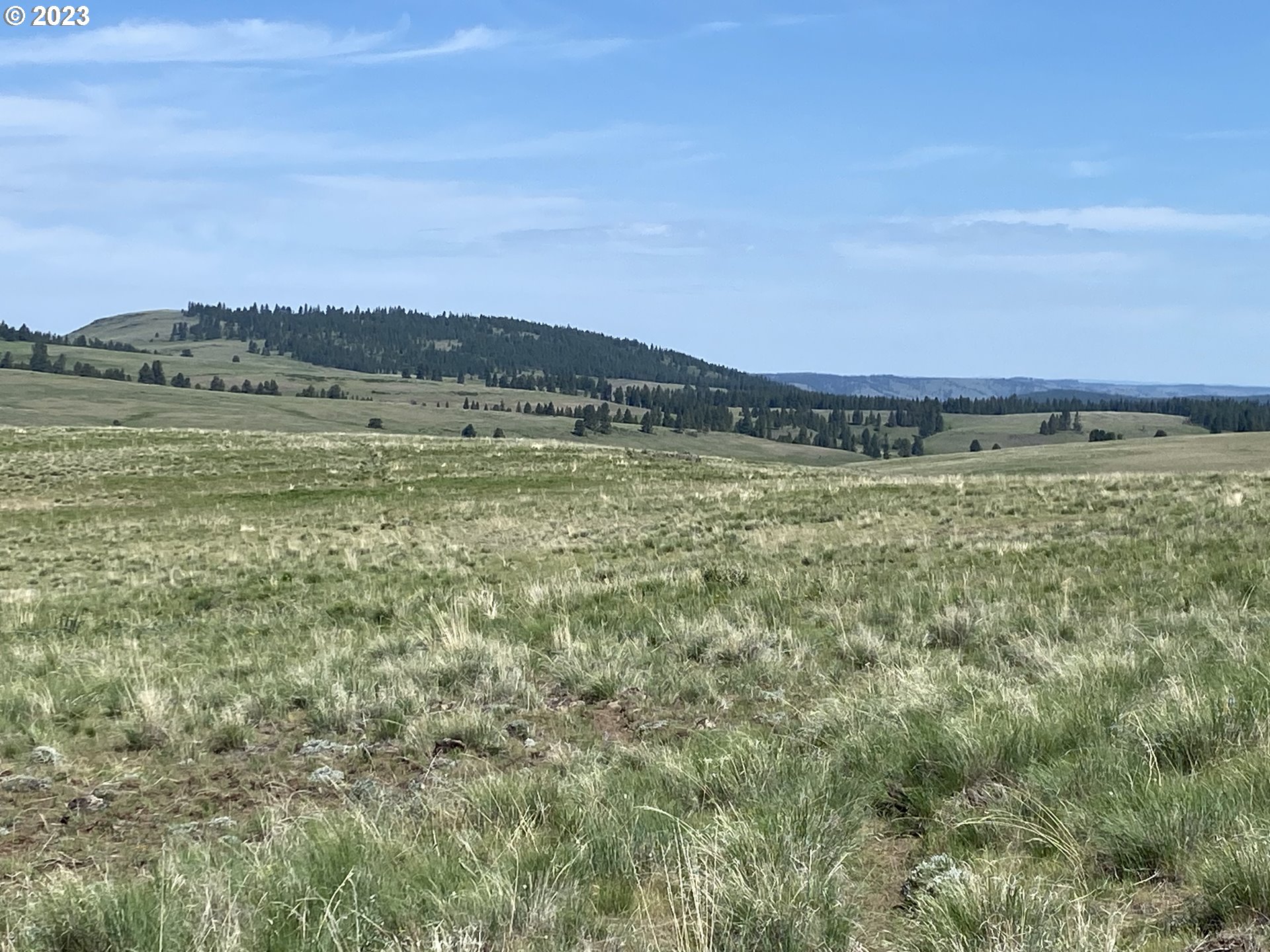 0 Elk Mt Road Enterprise, OR 97828 - Photo 12 of 17