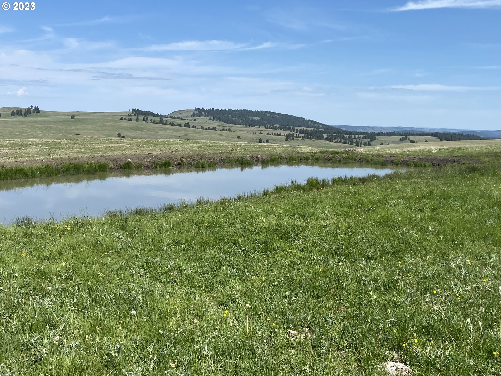 0 Elk Mt Road Enterprise, OR 97828 - Photo 13 of 17