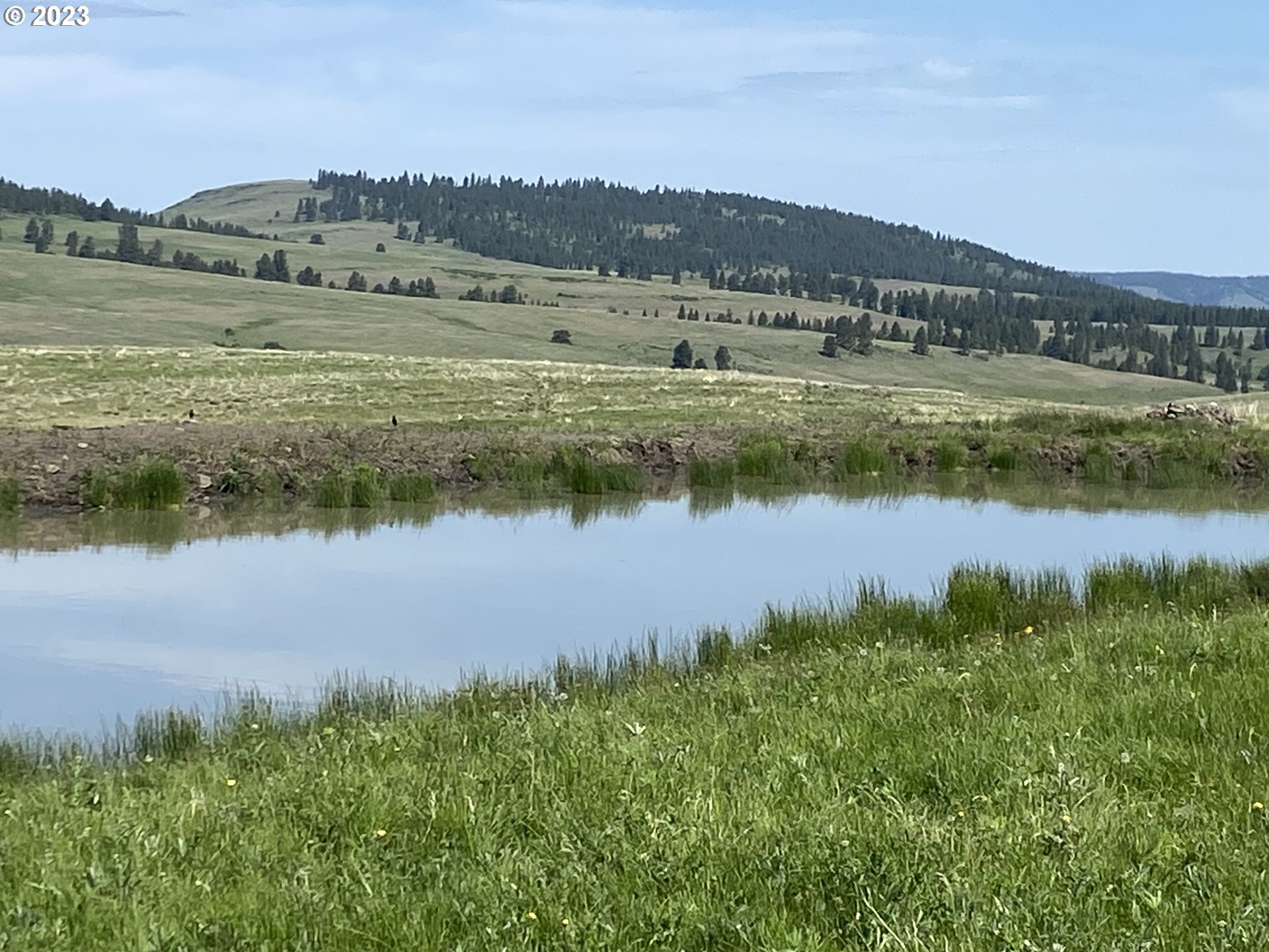 0 Elk Mt Road Enterprise, OR 97828 - Photo 14 of 17